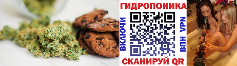 продажа наркотиков  Пионерский  Cannafood марихуана 