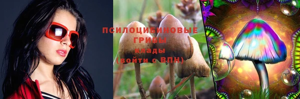 прущая мука Богородицк