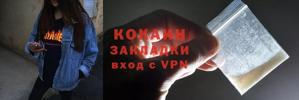 шишки Бородино