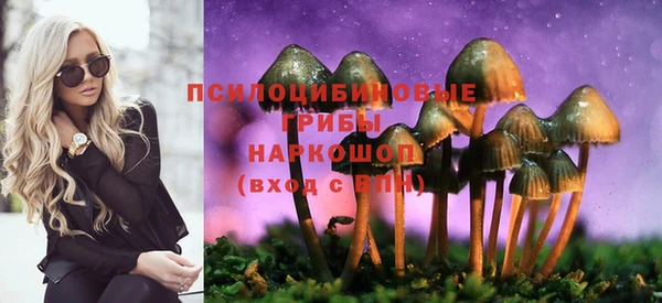 прущая мука Богородицк